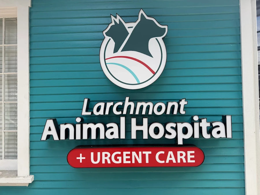  Pet Need Veterinary Internal Medicine