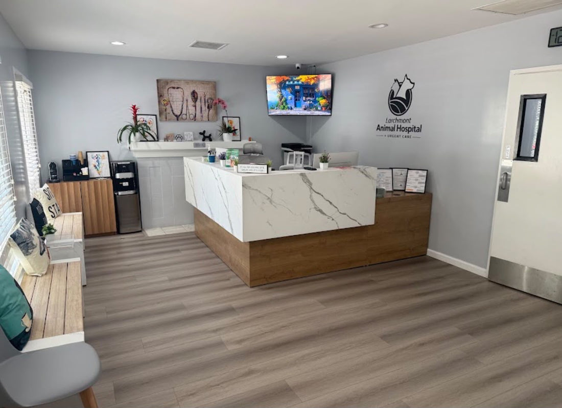 Same Day Pet Urgent Care in Los Angeles