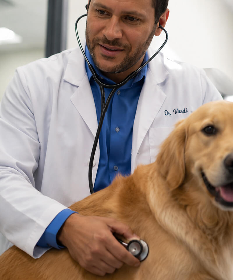 Veterinary care