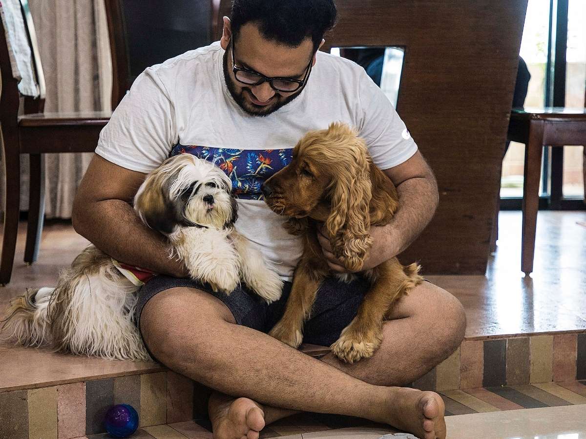 Veterinary care