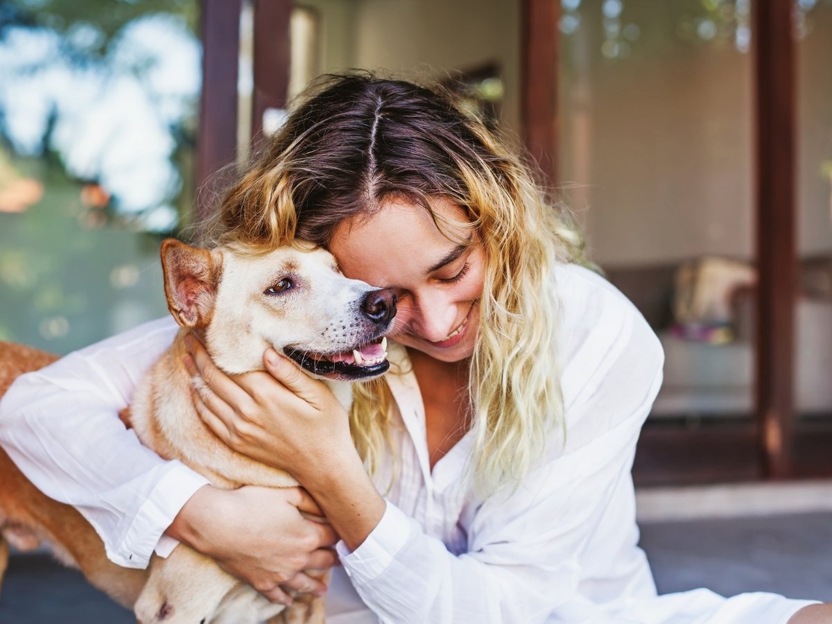 Veterinary care