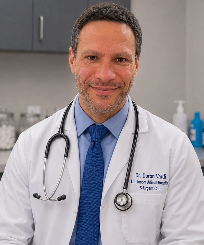Veterinary care