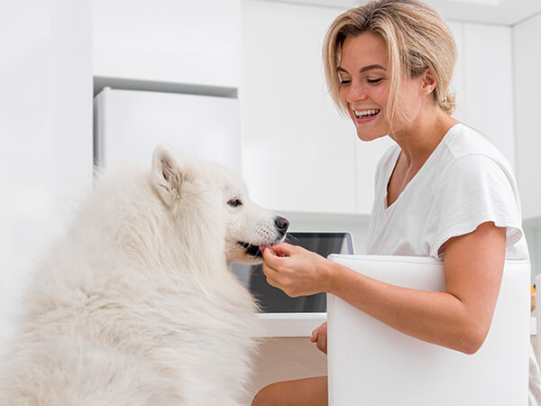 woman giving a large fluffy white dog a treat