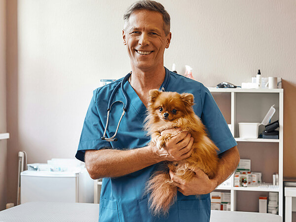 veterinarian holding a small red dog