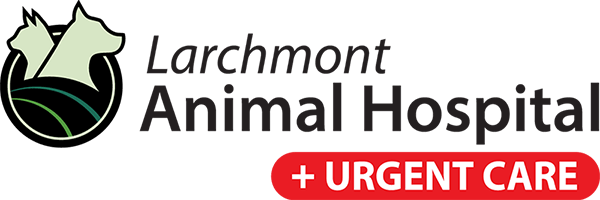 Larchmont Animal Hospital + Urgent Care logo