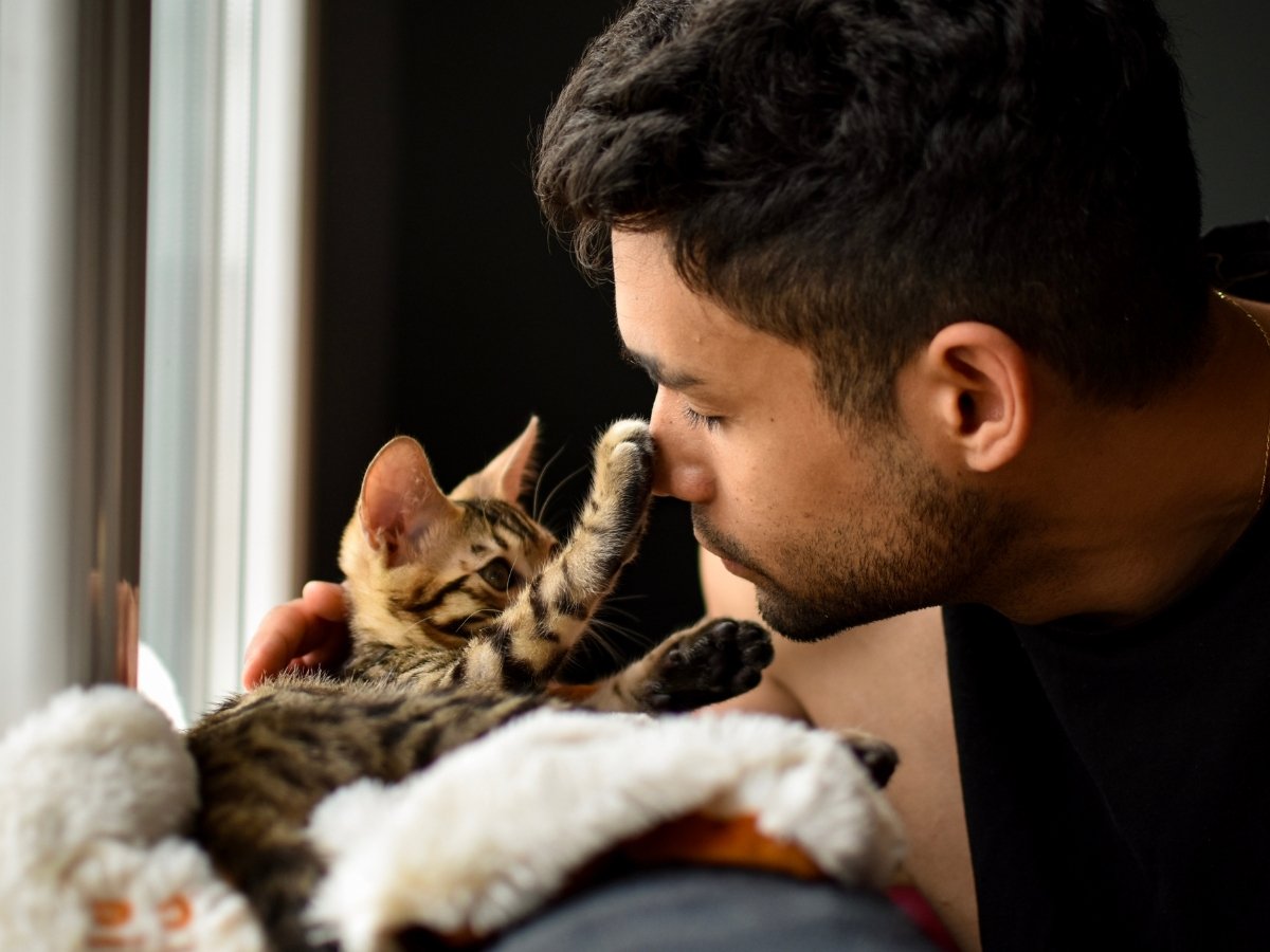 Dr-Vardi-800x960-1 A person and a kitten interacting closely, with the kitten touching the person's nose with its paw.