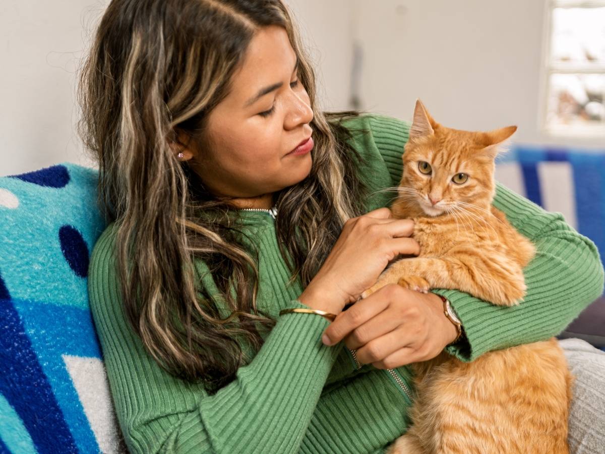 Dr-Vardi-800x960-1 An individual in a green sweater holds an orange tabby cat while sitting on a couch with a blue and white patterned blanket.